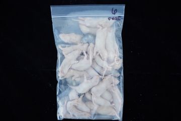 Fuzzy Rats 25ct